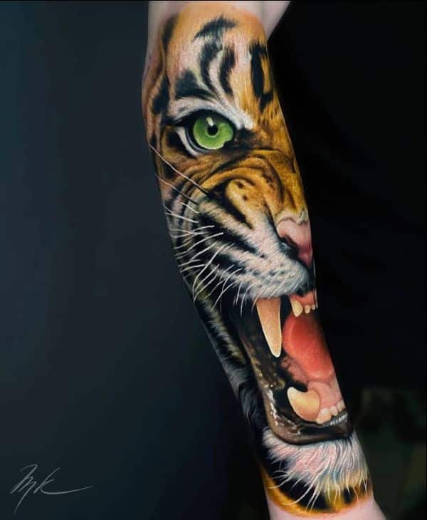 tiger tattoos color