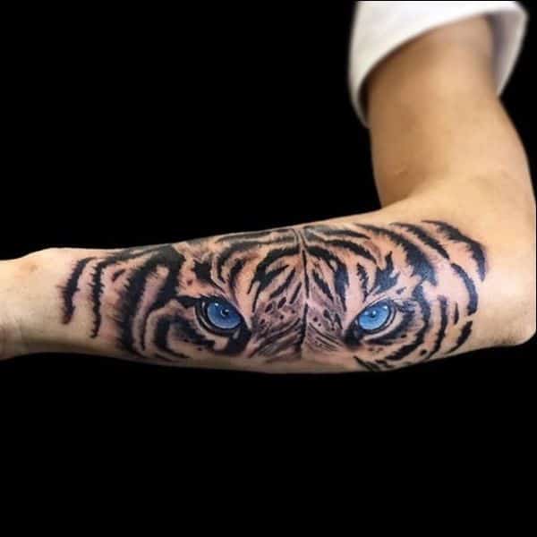 tiger tattoos blue eyes